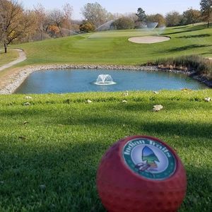 Meet your Posher, Shane